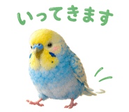 857593011