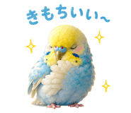 857593020