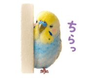 857593022