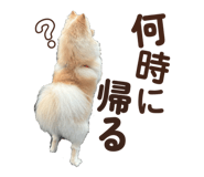 857594011