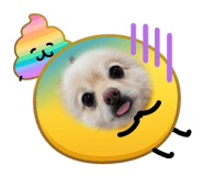 857594013