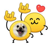 857594020