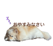857594023
