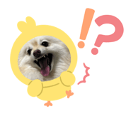 857594024