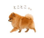 857594089