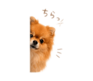 857594099