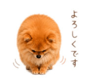 857594110