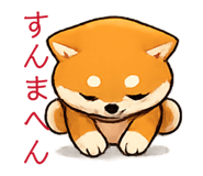 857594131
