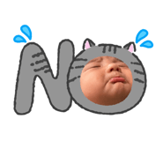 857594491
