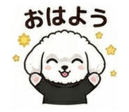857597201