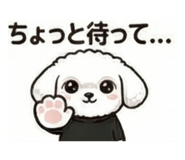 857597239