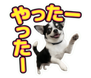 857597294