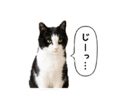 857598200