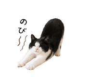 857598206