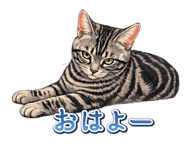 857599147