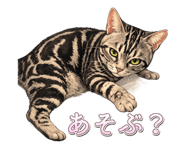 857599150