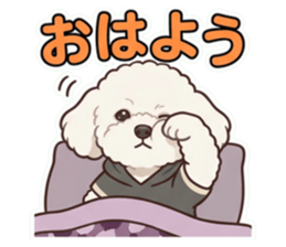 857599642