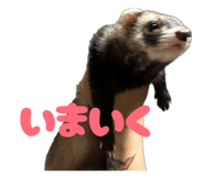 857599714