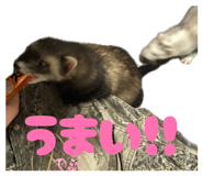857599717