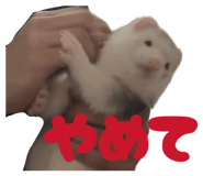 857599718