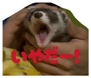 857599724