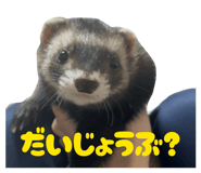 857599733