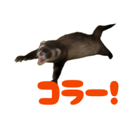 857599735