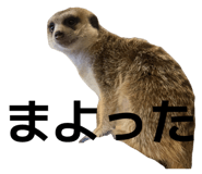 857600128