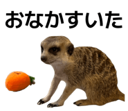 857600130