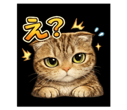857601177