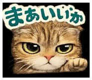 857601184