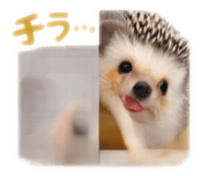857601495