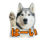 857602700