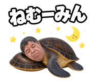 857602708
