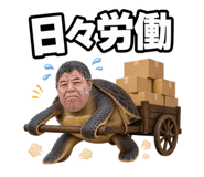 857602713