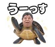 857602714