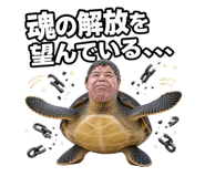 857602719