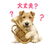 857603119