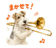 857603135