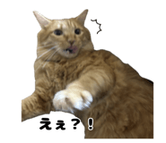 857603376