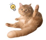 857603390