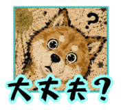 857606543
