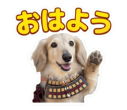857607210