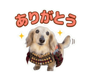 857607211