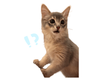 857609845