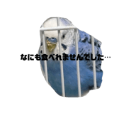 857610395