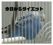 857610396