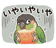 857610501