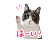 857610538