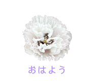 857610553